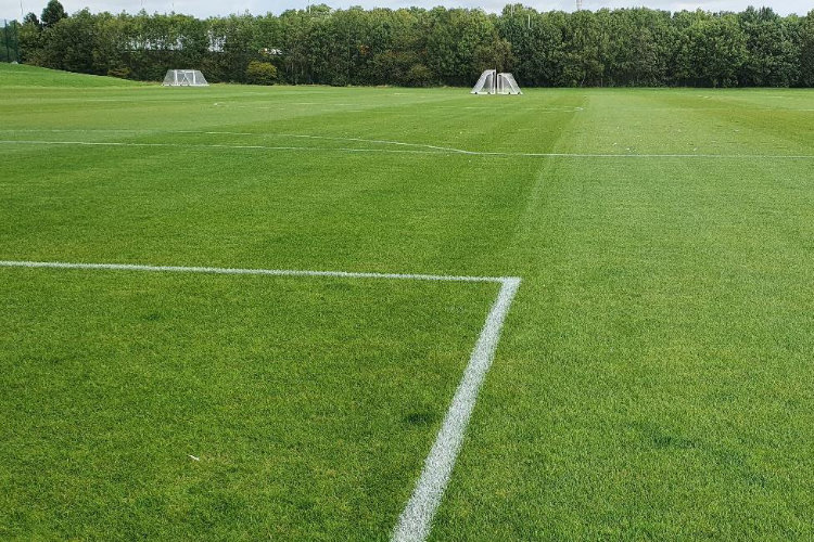 New Pitches